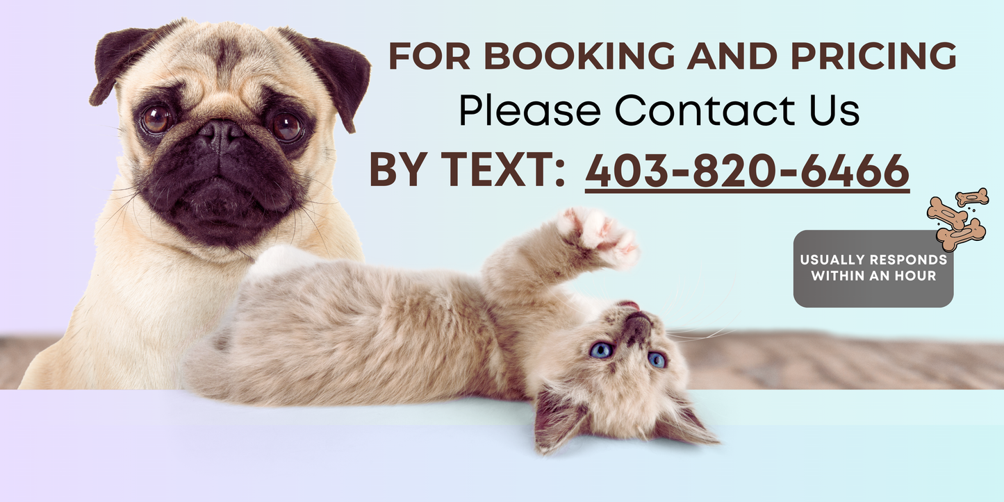 Mobile Mat Removal Cat