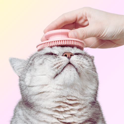 Mobile Basic Bath Cat