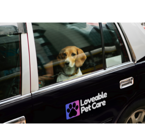 Pet Taxi